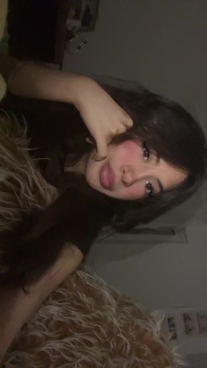 @aylar