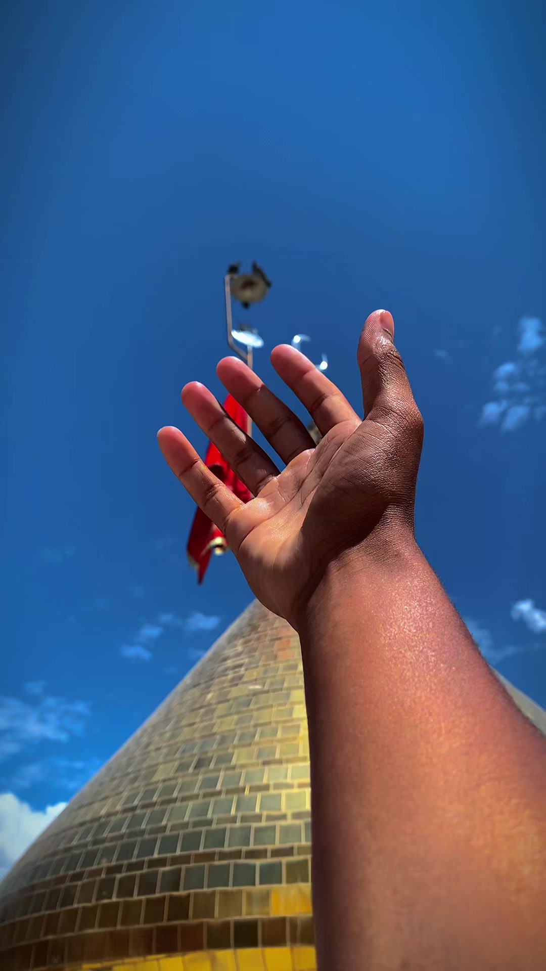 @🕊️۔م