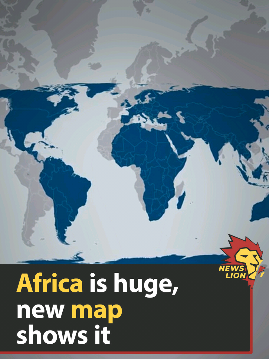 @NEWS LION