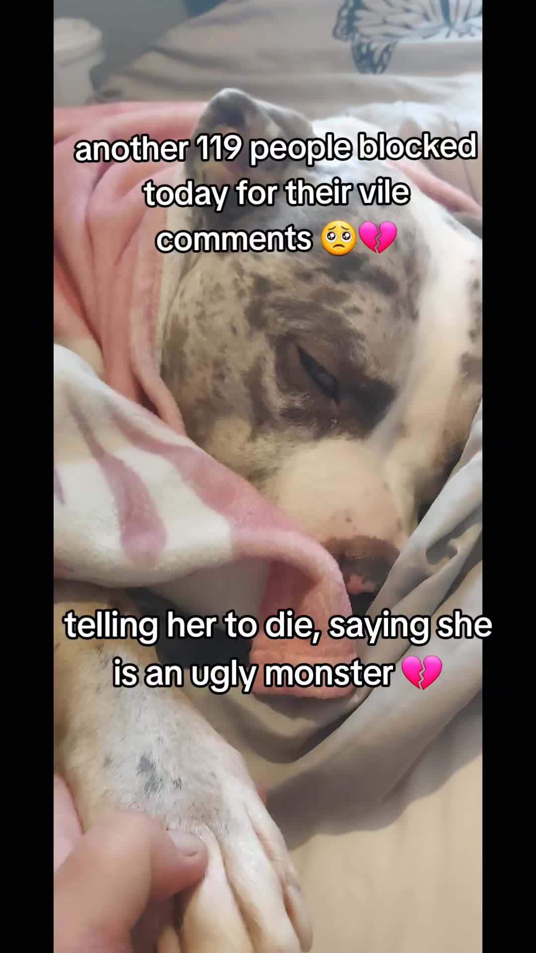 @kirsty+starlight the xl bully