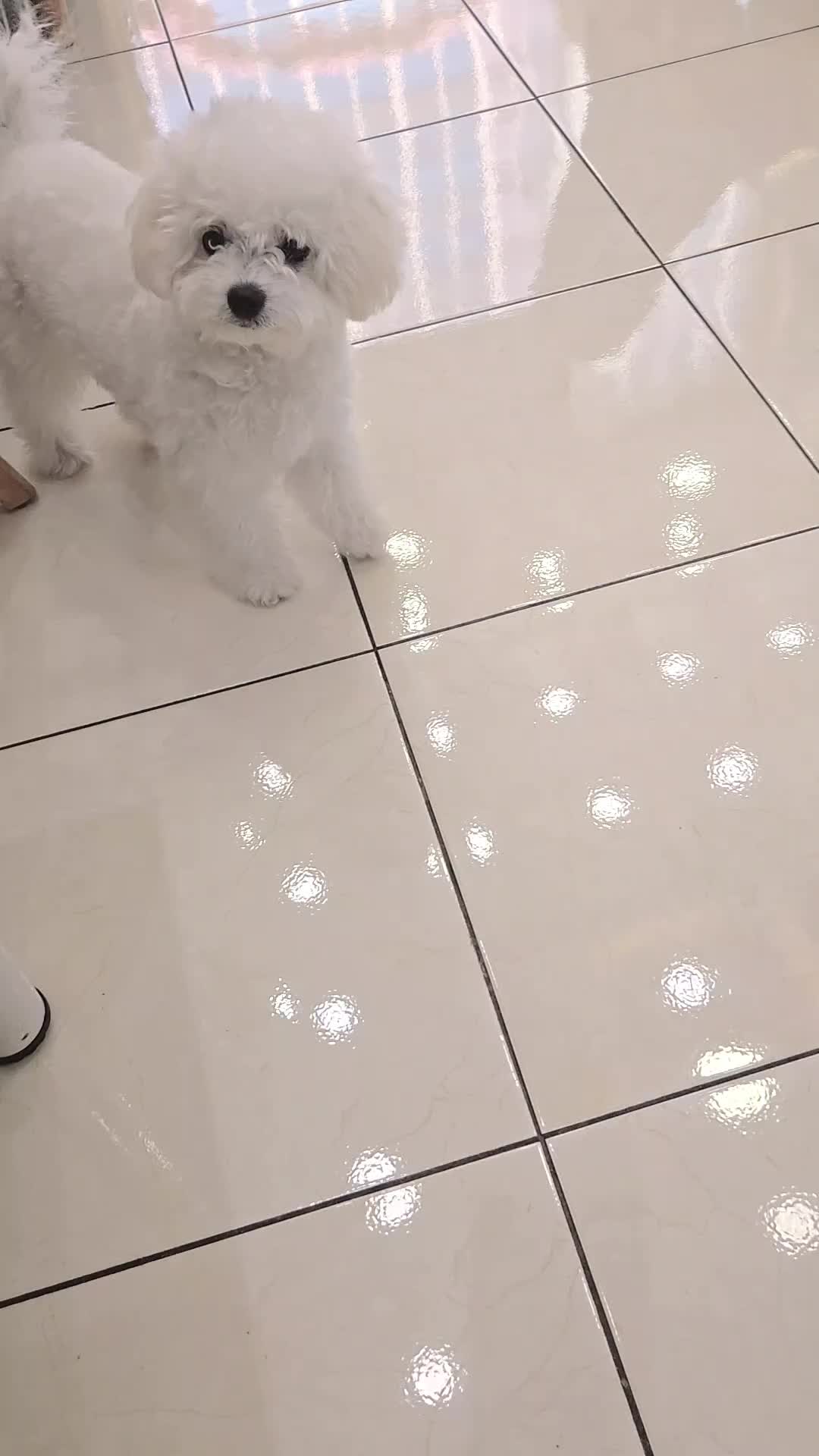 @귀현이