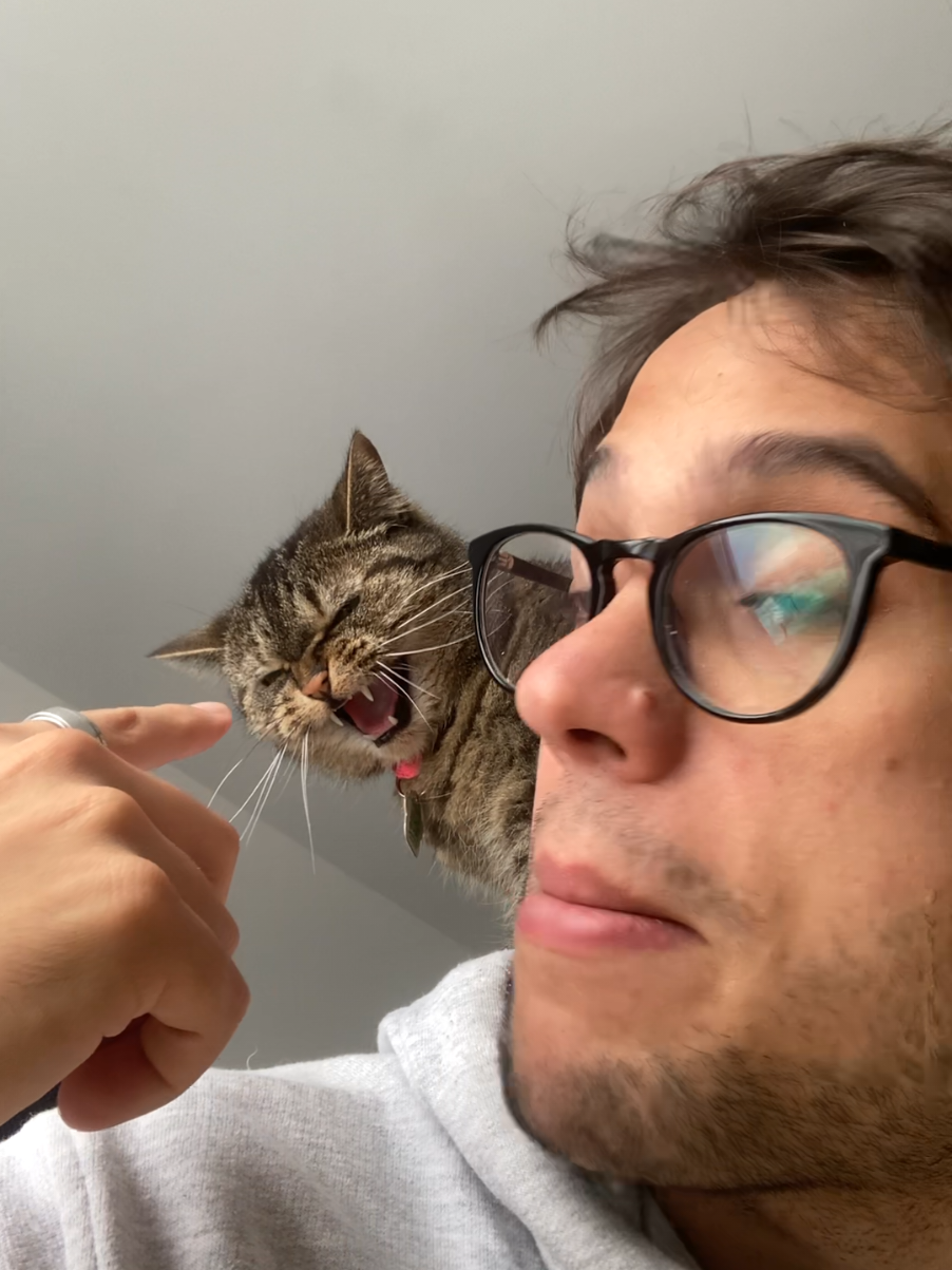 @Bellarda the cat