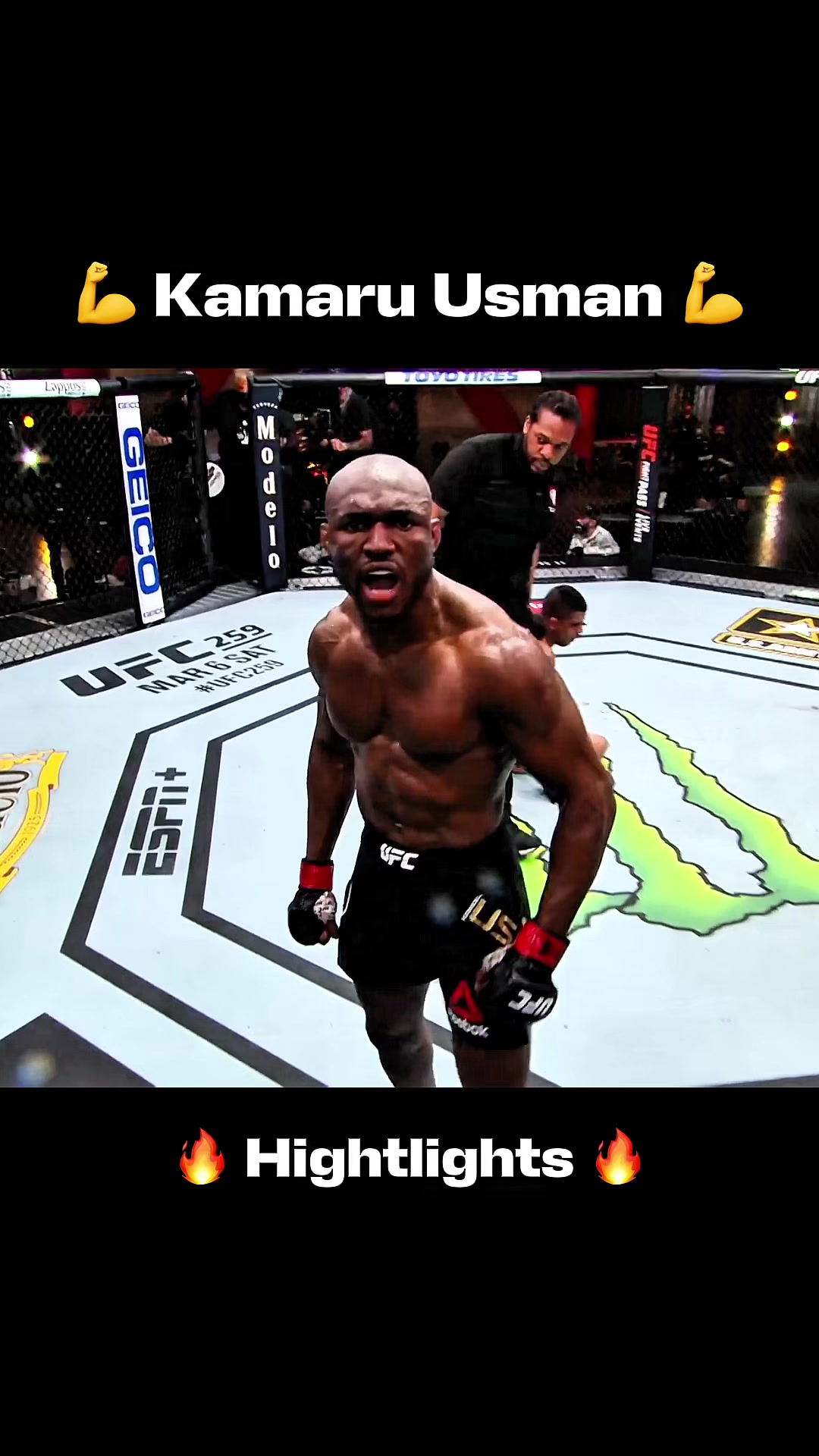 @FIGHT TOK