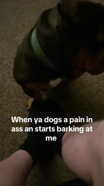 @Gav