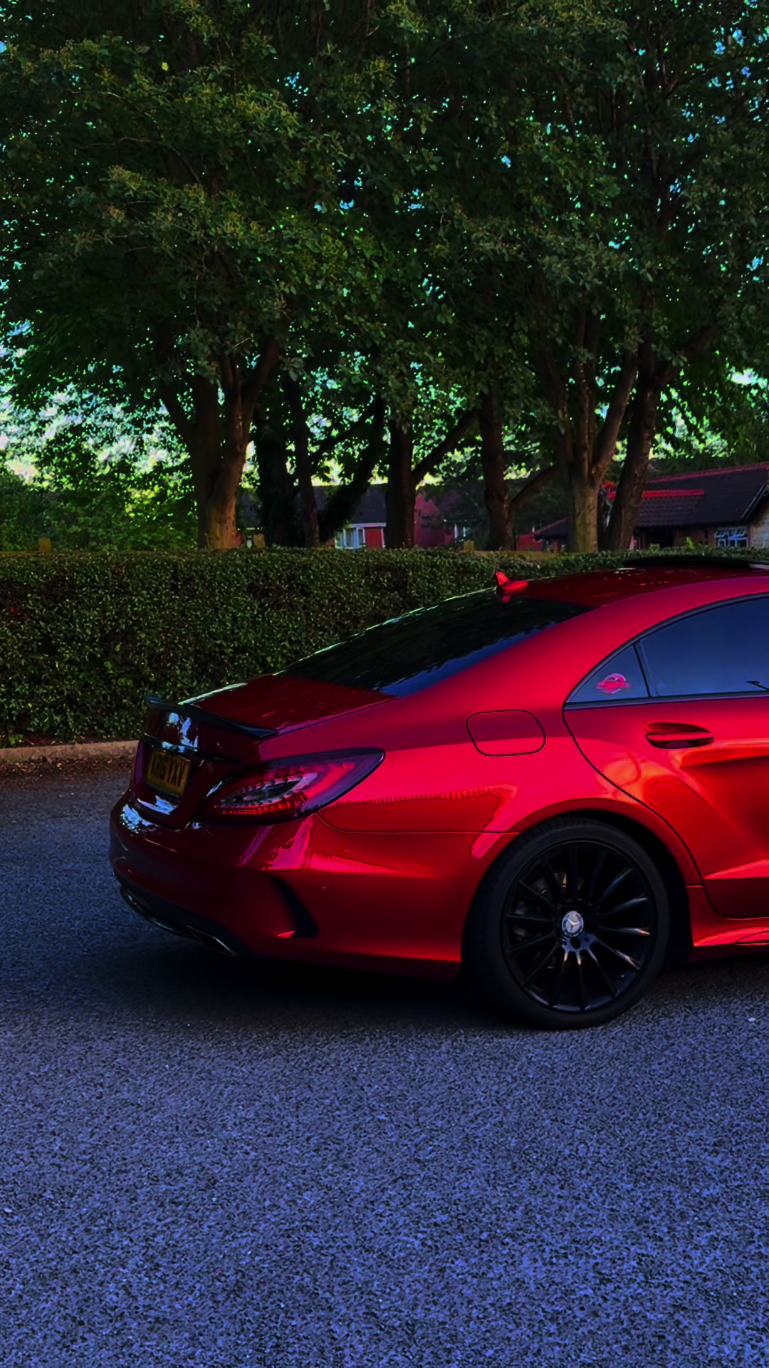 @🌶️SpicyBenz🌶️