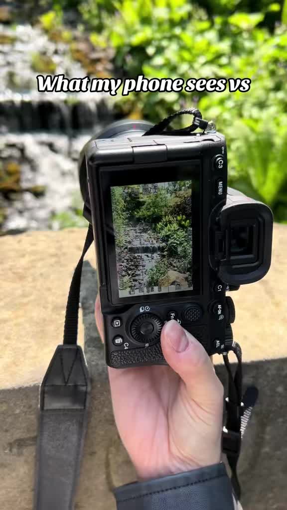 @alexwebsterphotography