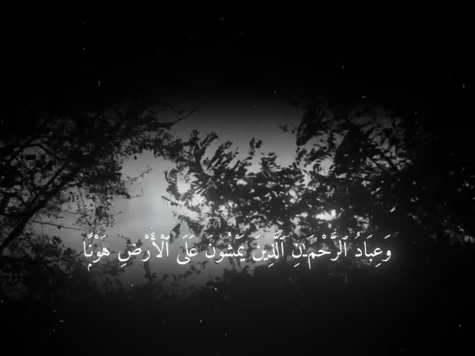 @ابابيل"| ababil"
