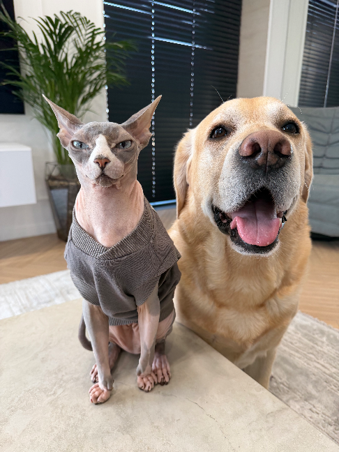 @Deni🐾Mani