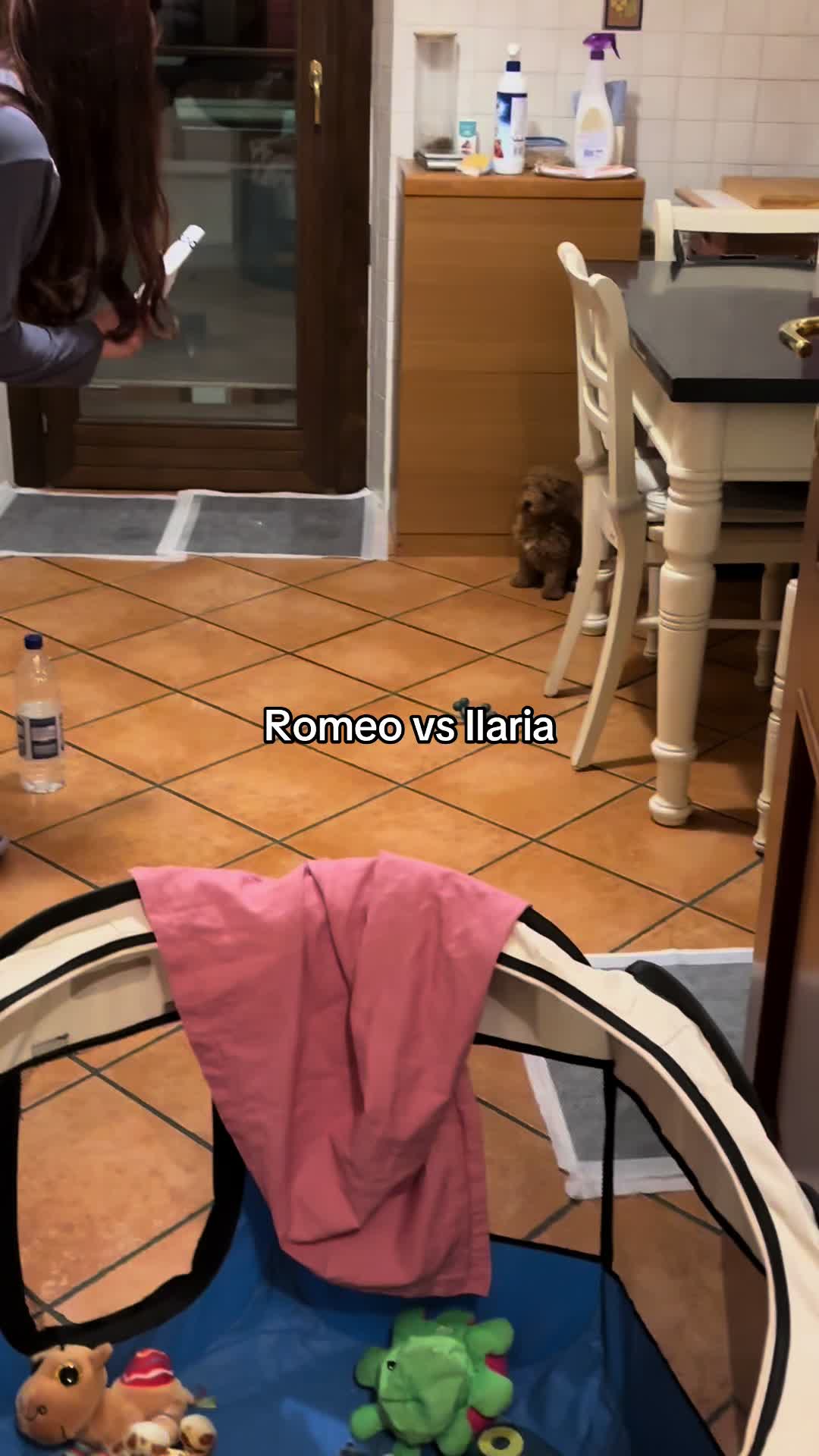 @Claudia