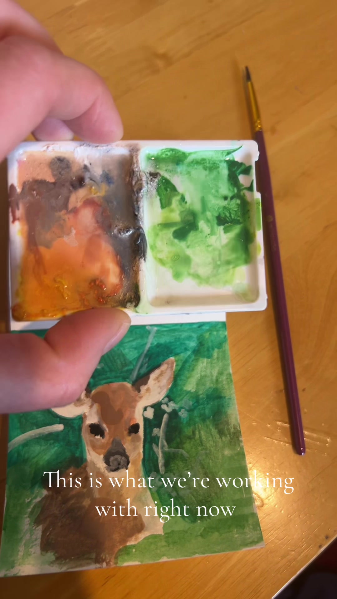 @Kira ✍️
