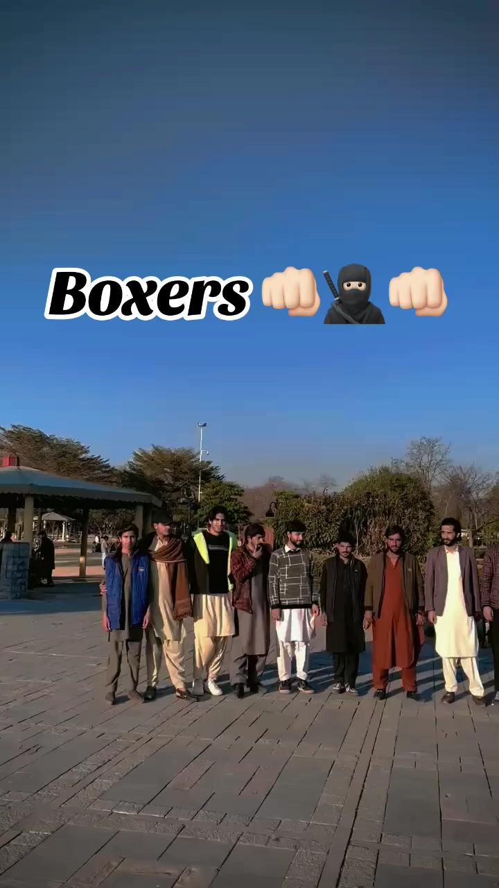 @Boxer 1