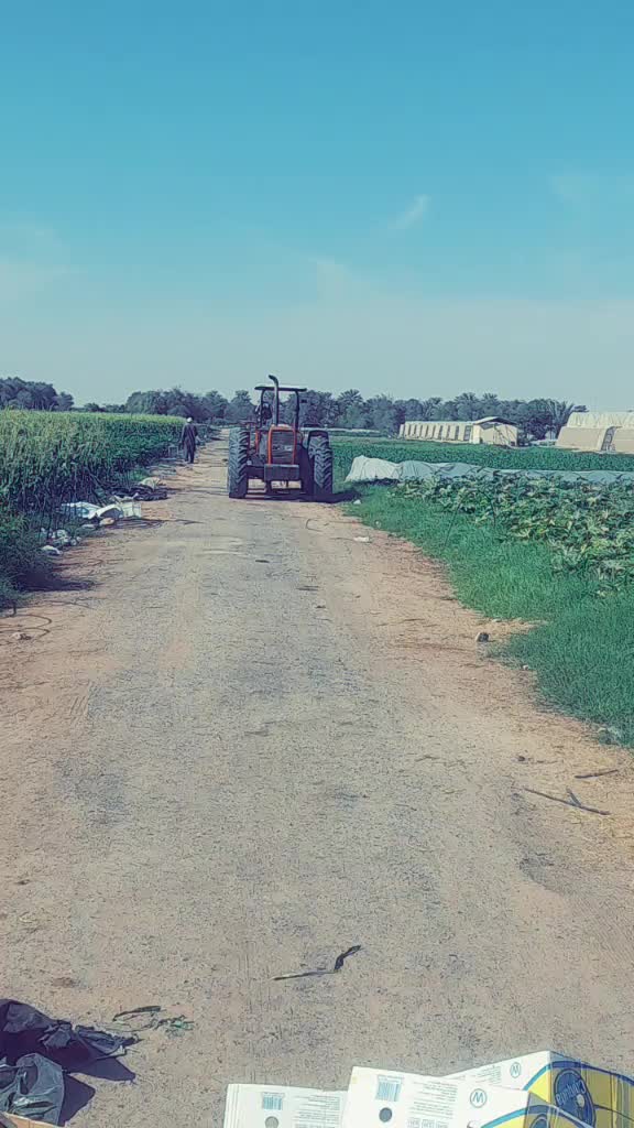 @daheemdaheemdahee