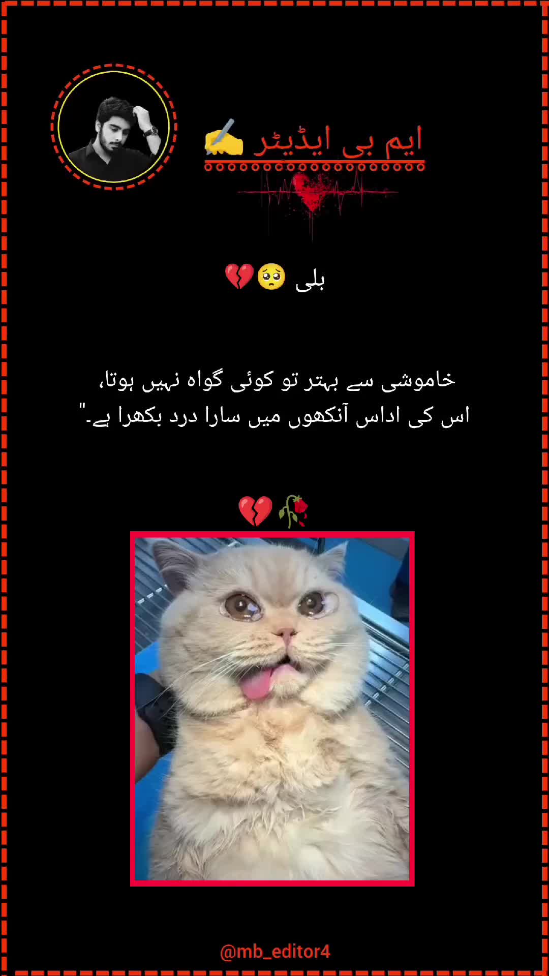 @MB EDITOR ✍️