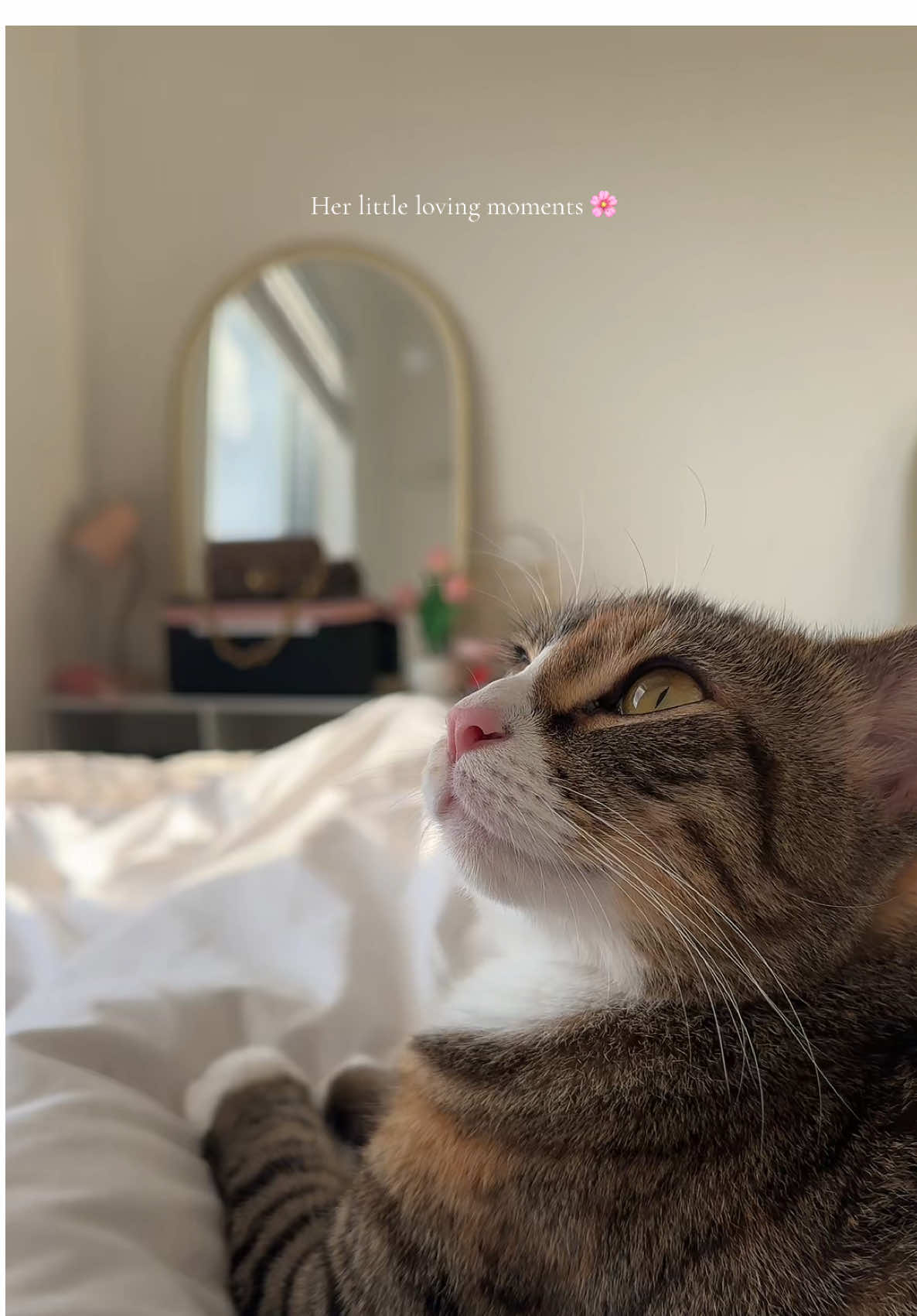 @Cojill🧸