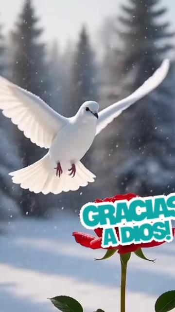 @Marys Pomavilla PV