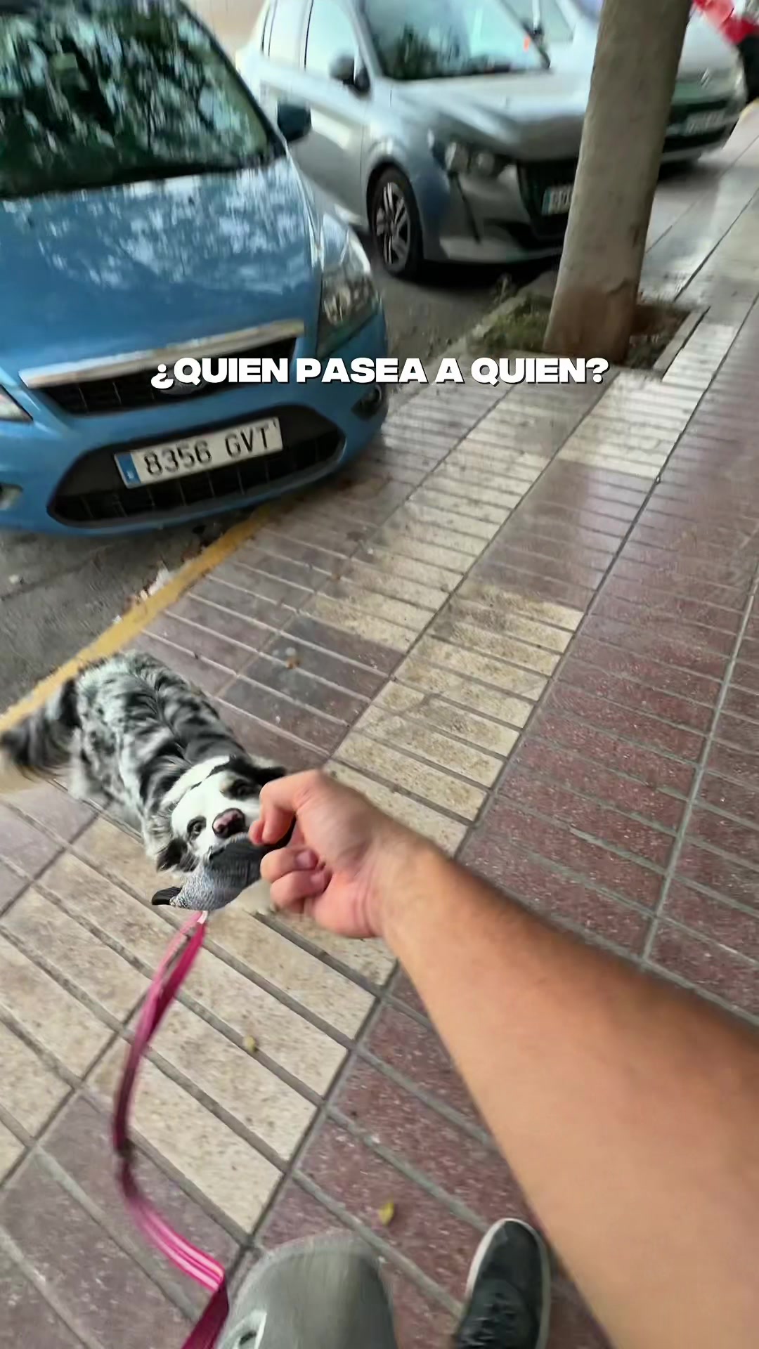 @Ares y Aura