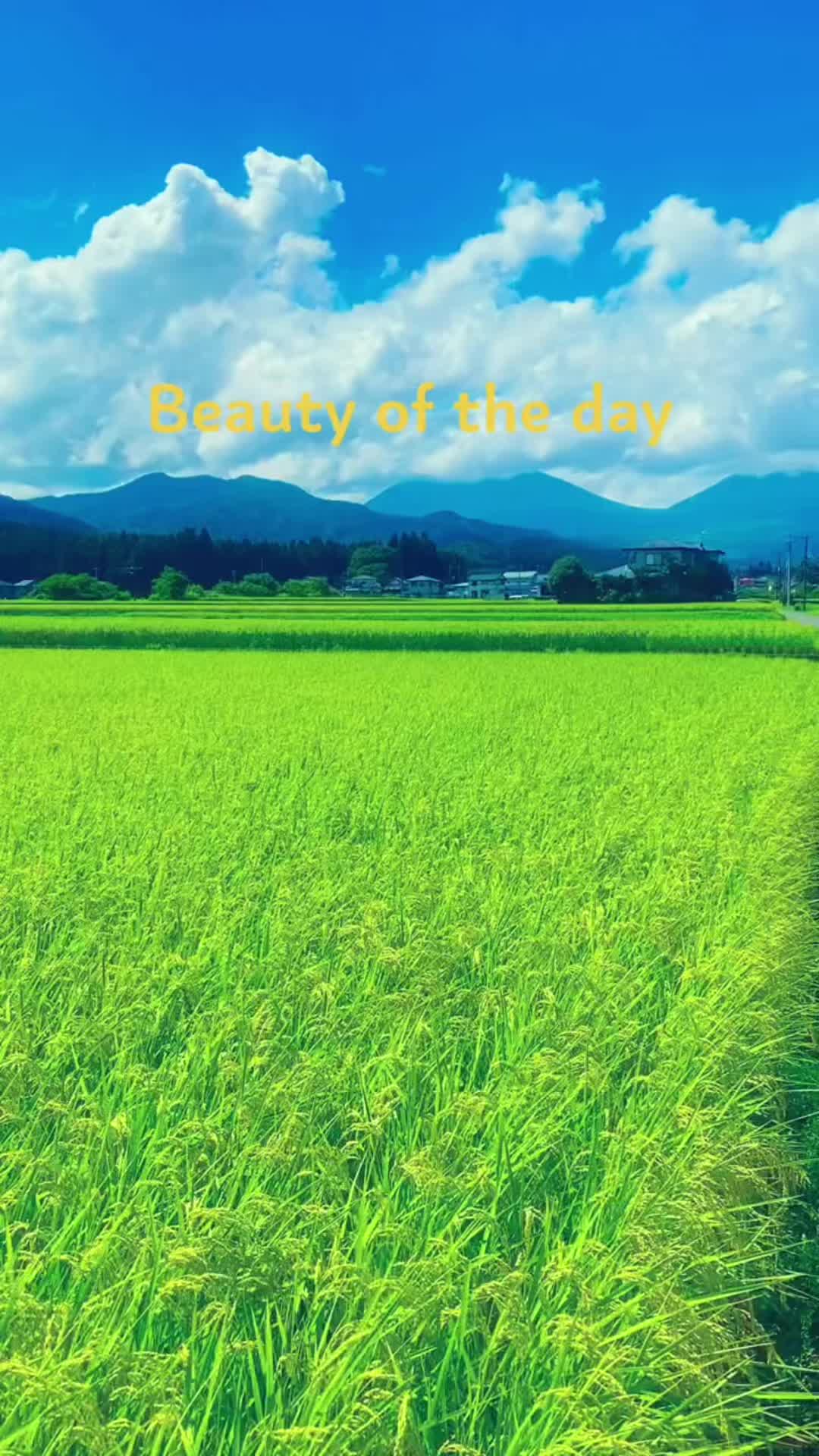 @マシ1010