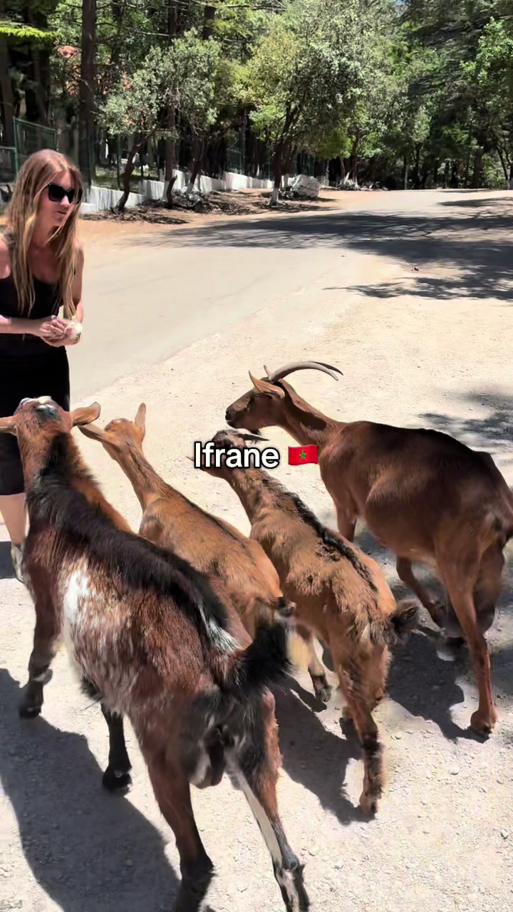 @sixnoque