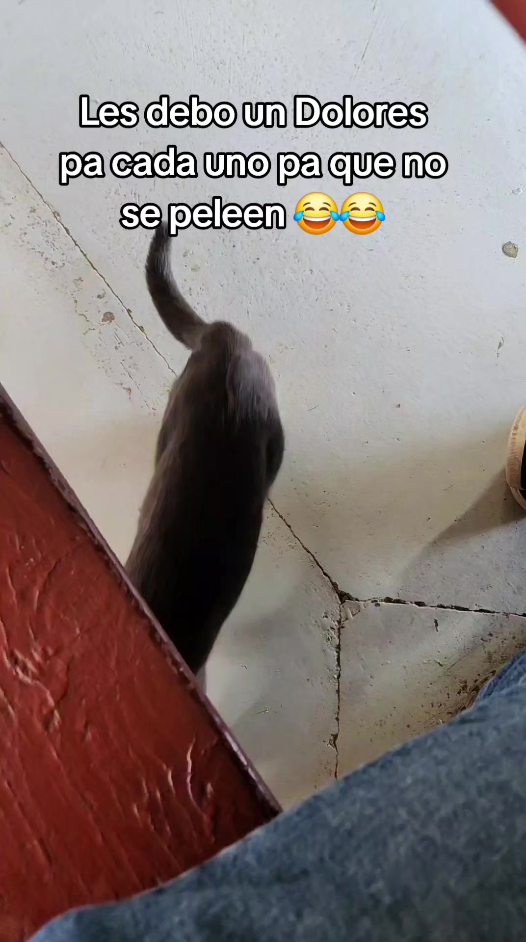 @ValtoGamer