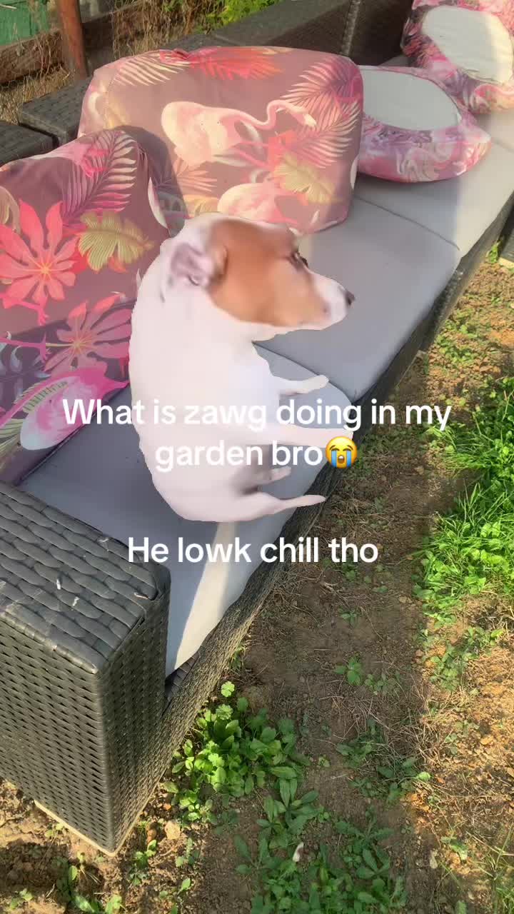 @stanzer0