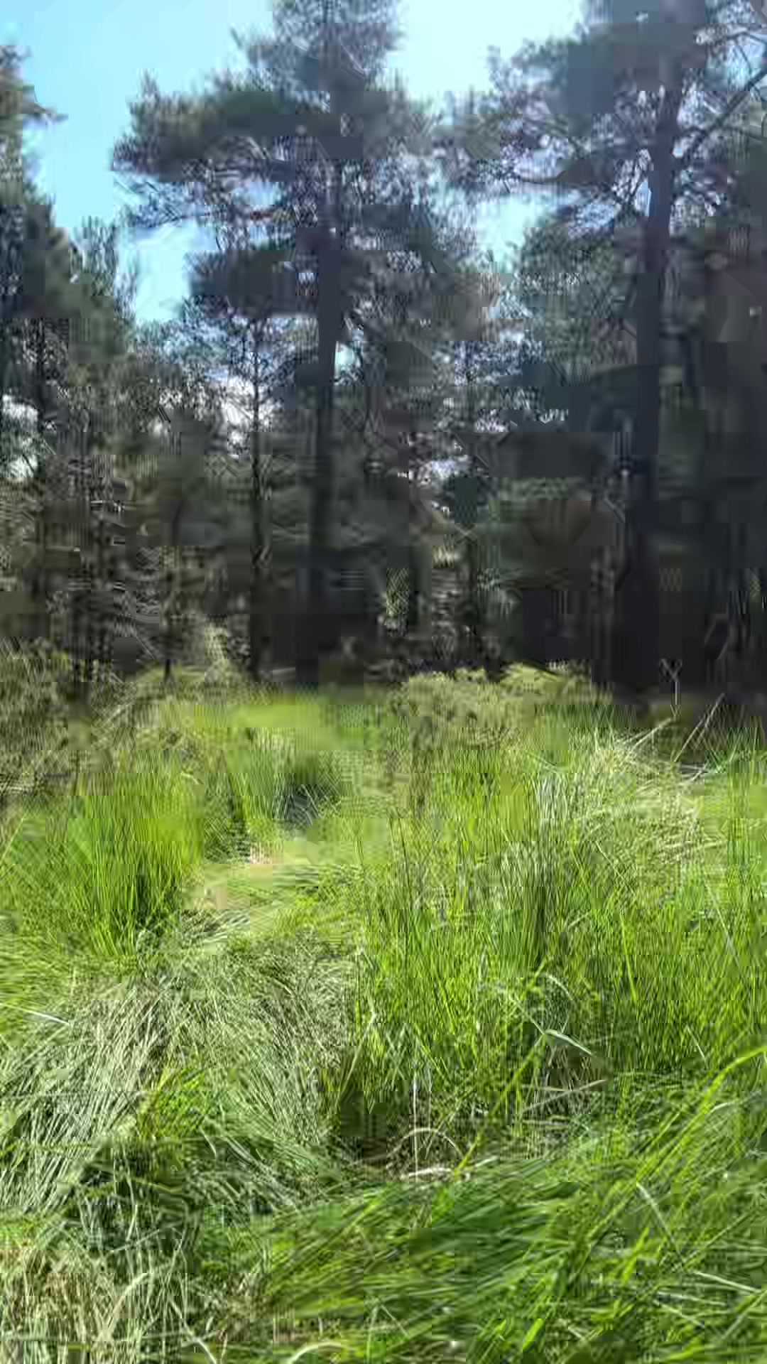 @~&bull;🌿🪐_Sᑕᗩᖇ_🪐🌿&bull;~