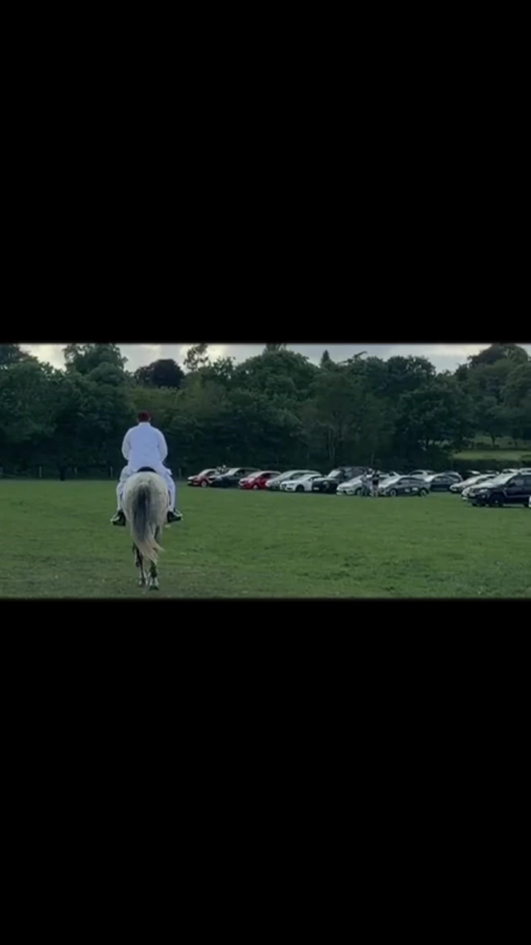 @Slough horses