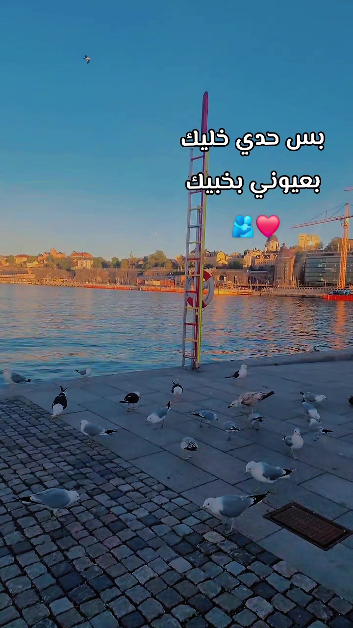 @ʚYaroshɞ