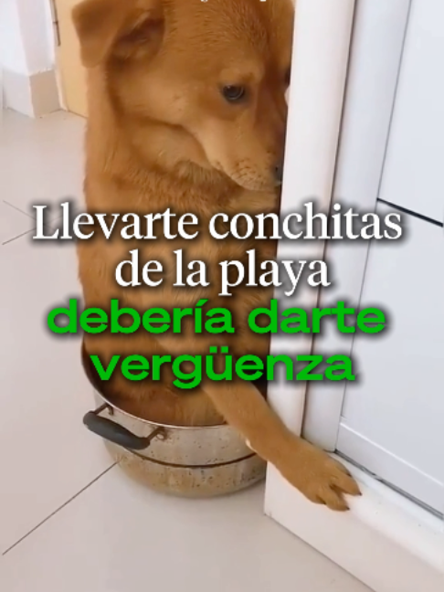 @Ahora Entiendo