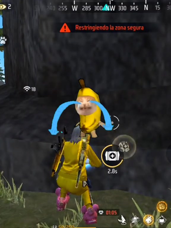 @Elsa in &iquest;?