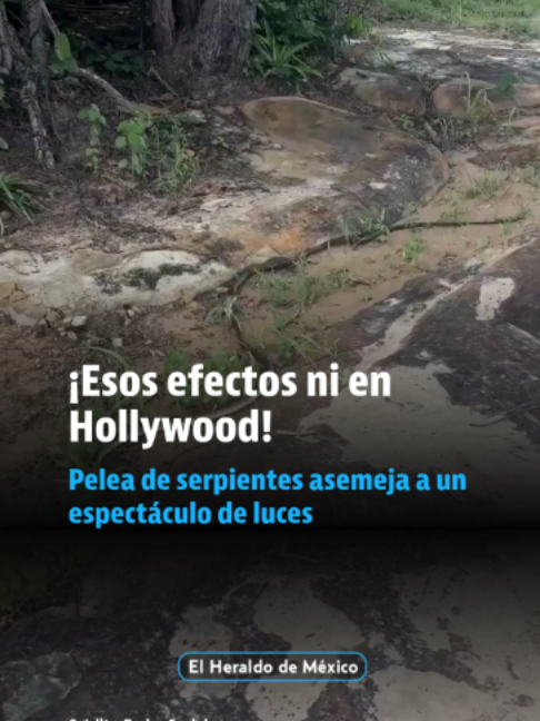 @elheraldodemexico