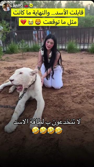 @3shtar🪽