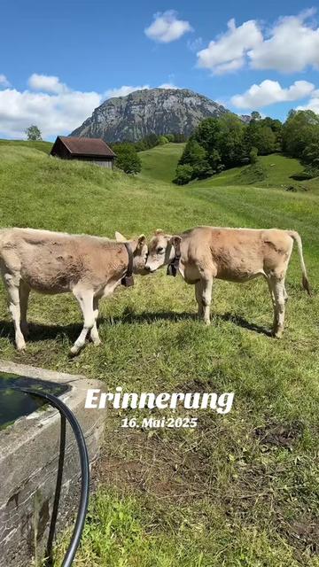@🍀🇨🇭ĹＯＳ ĹＯcＯＳ ＳcĤｗ𝐞ｉz🇨🇭🍀