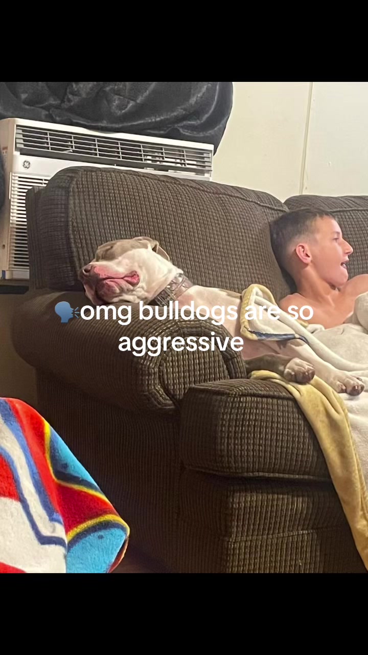 @HC999