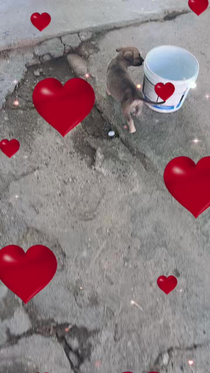 @maluca