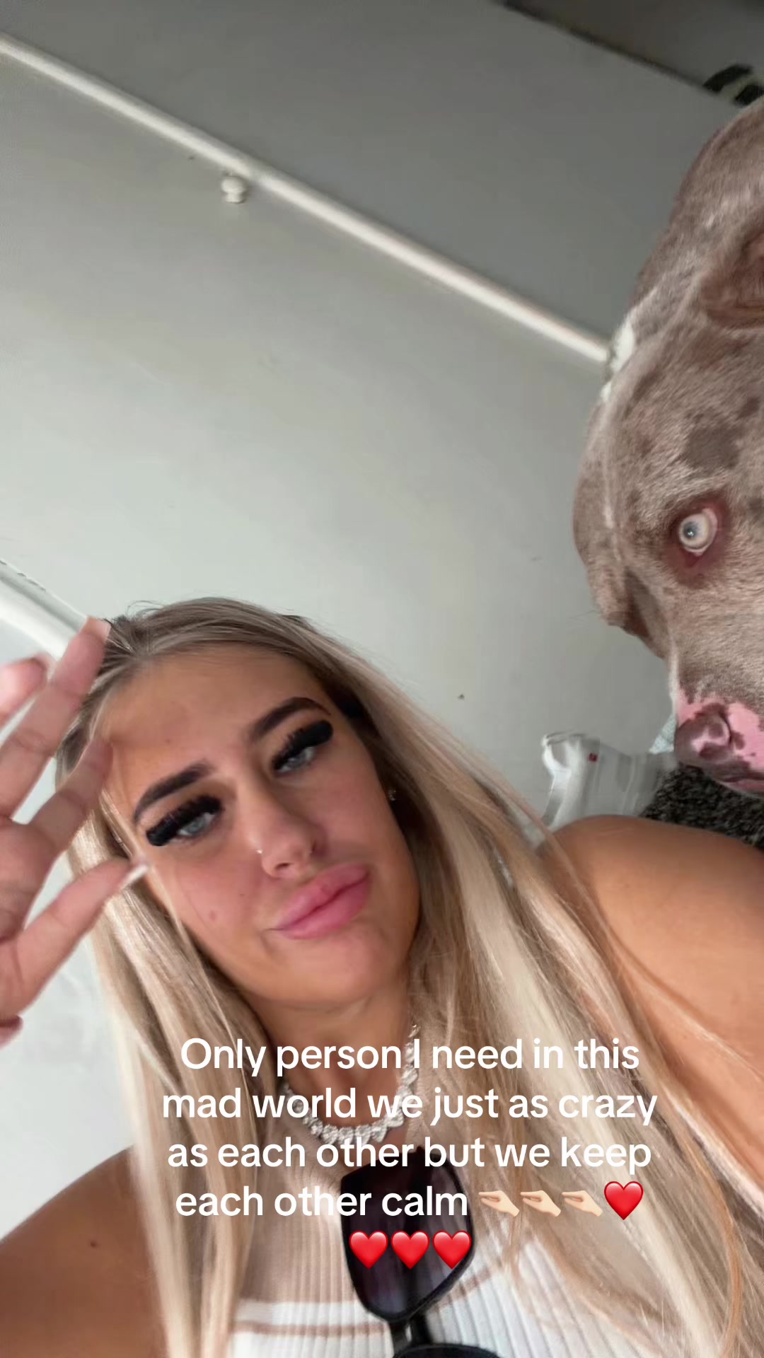 @Shauna Stevenson