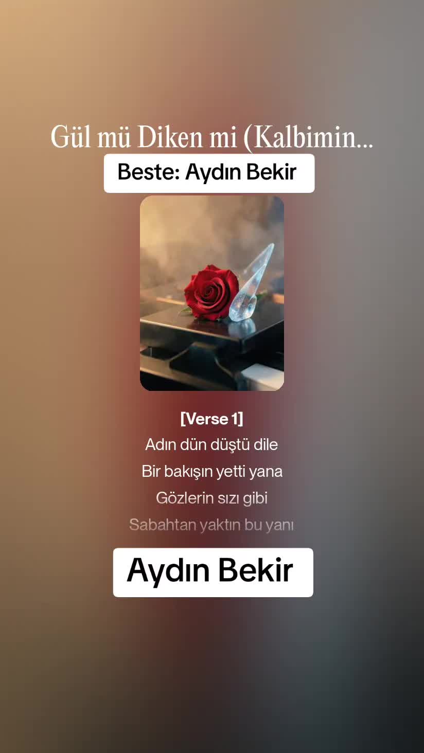 @Aydın Bekir