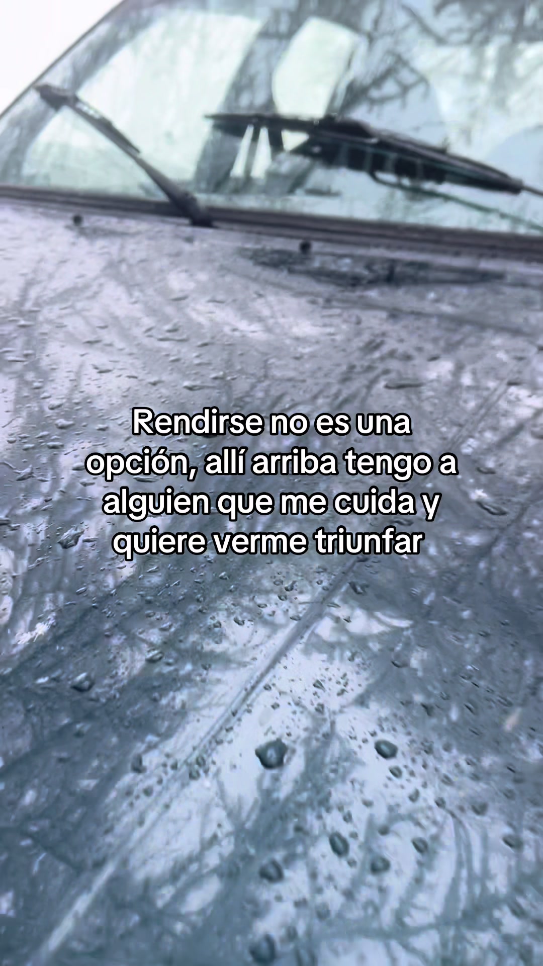 @Fran arenal