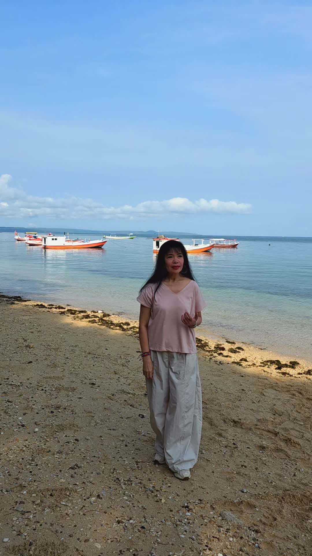 @herlin pirena
