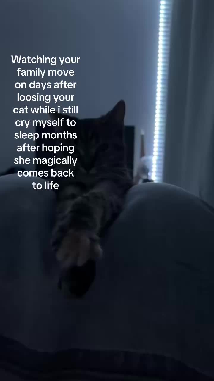 @⭐️