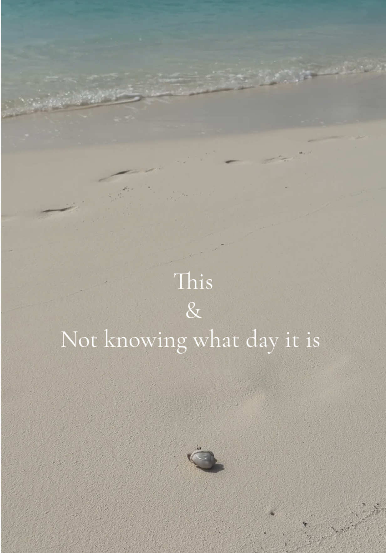 @Holly | Travel Planner | 🏝️