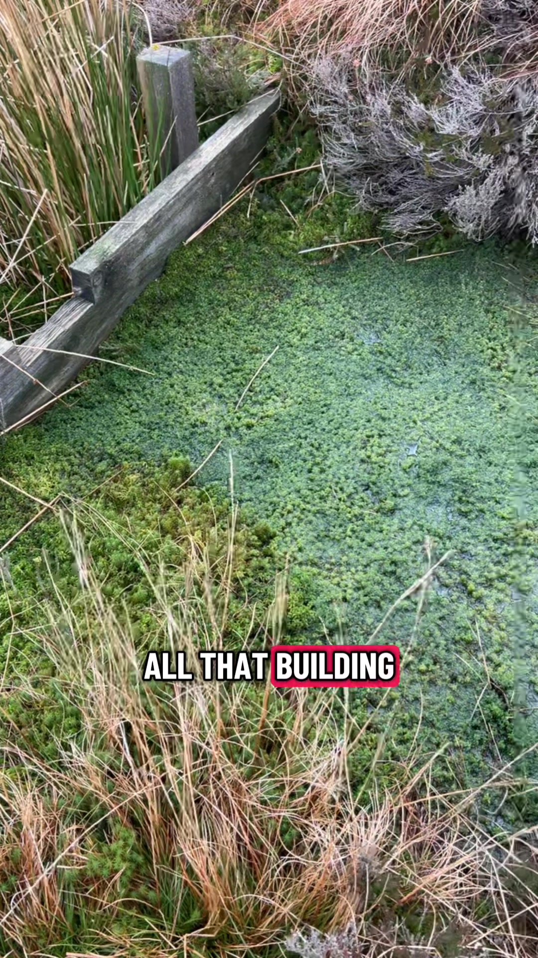 @Sam Bentley | Ecology
