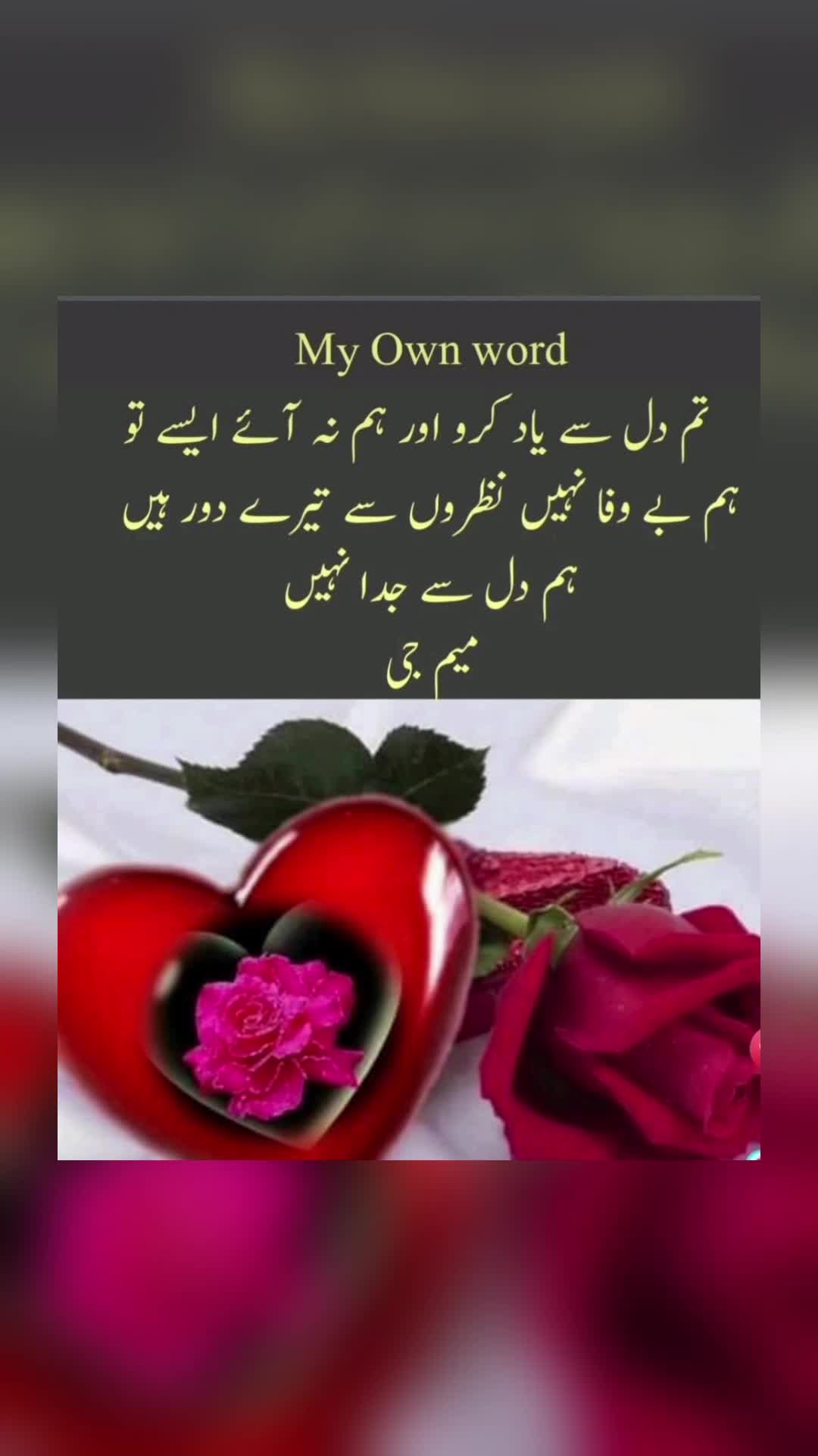 @🌹MeEm jEe SHeIkH میم جی 🌹Uk