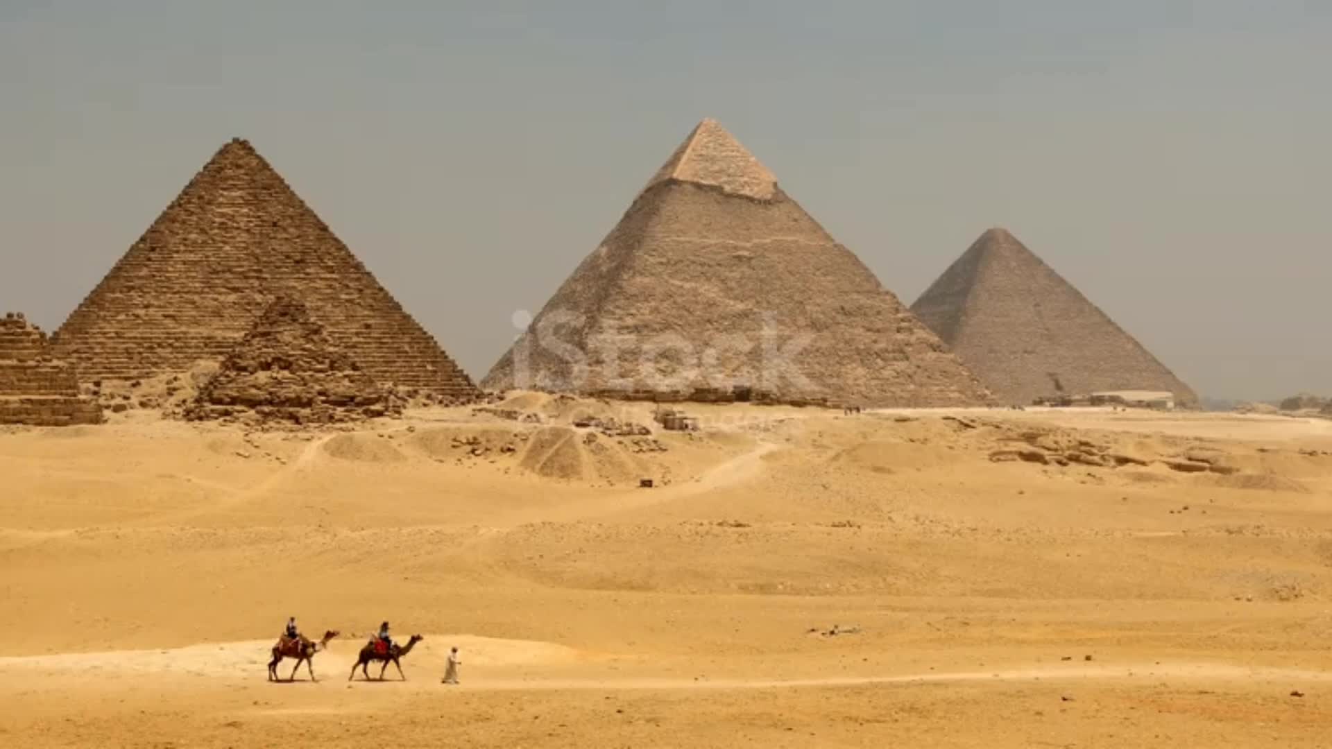 @دكتور طارق