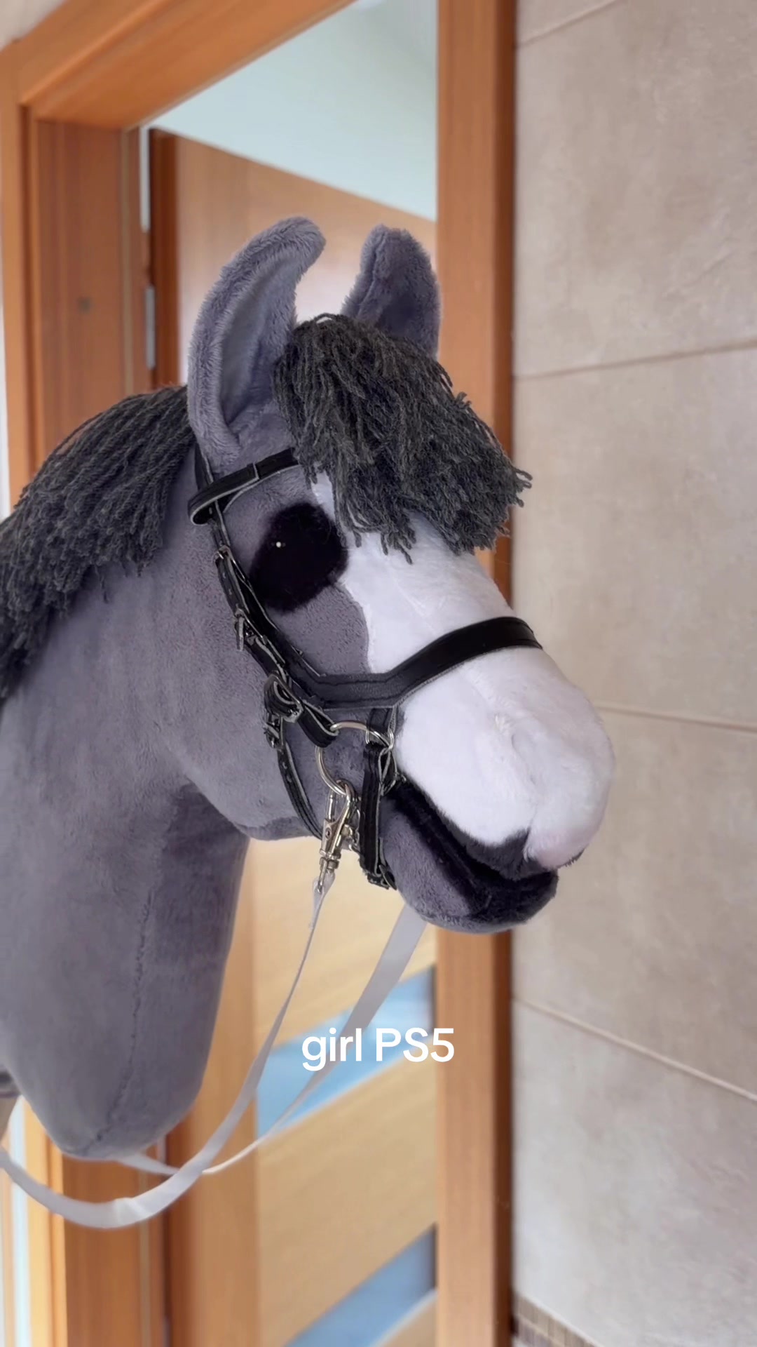 @BShobbyhorses