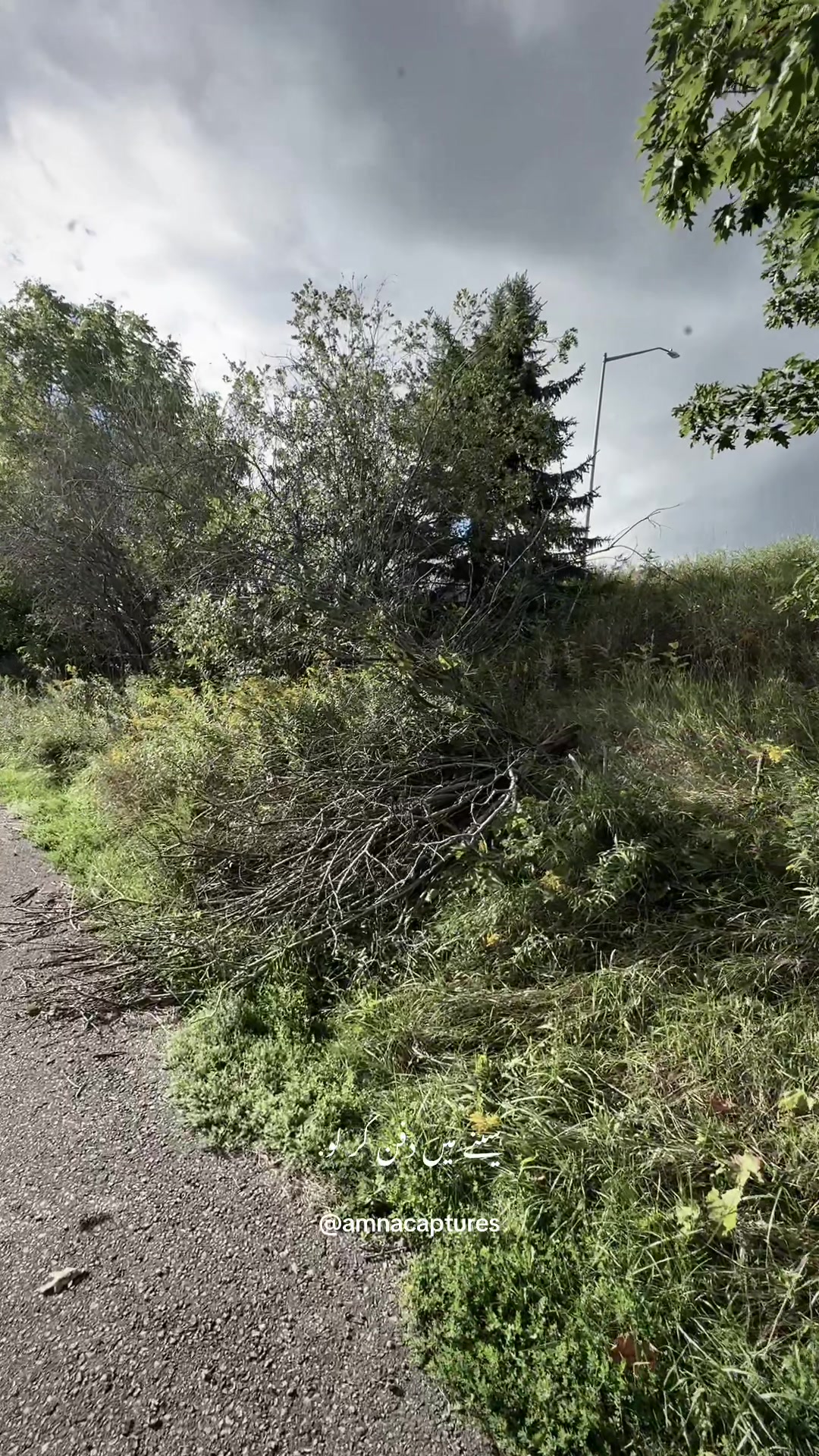 @Nature lover 🇨🇦