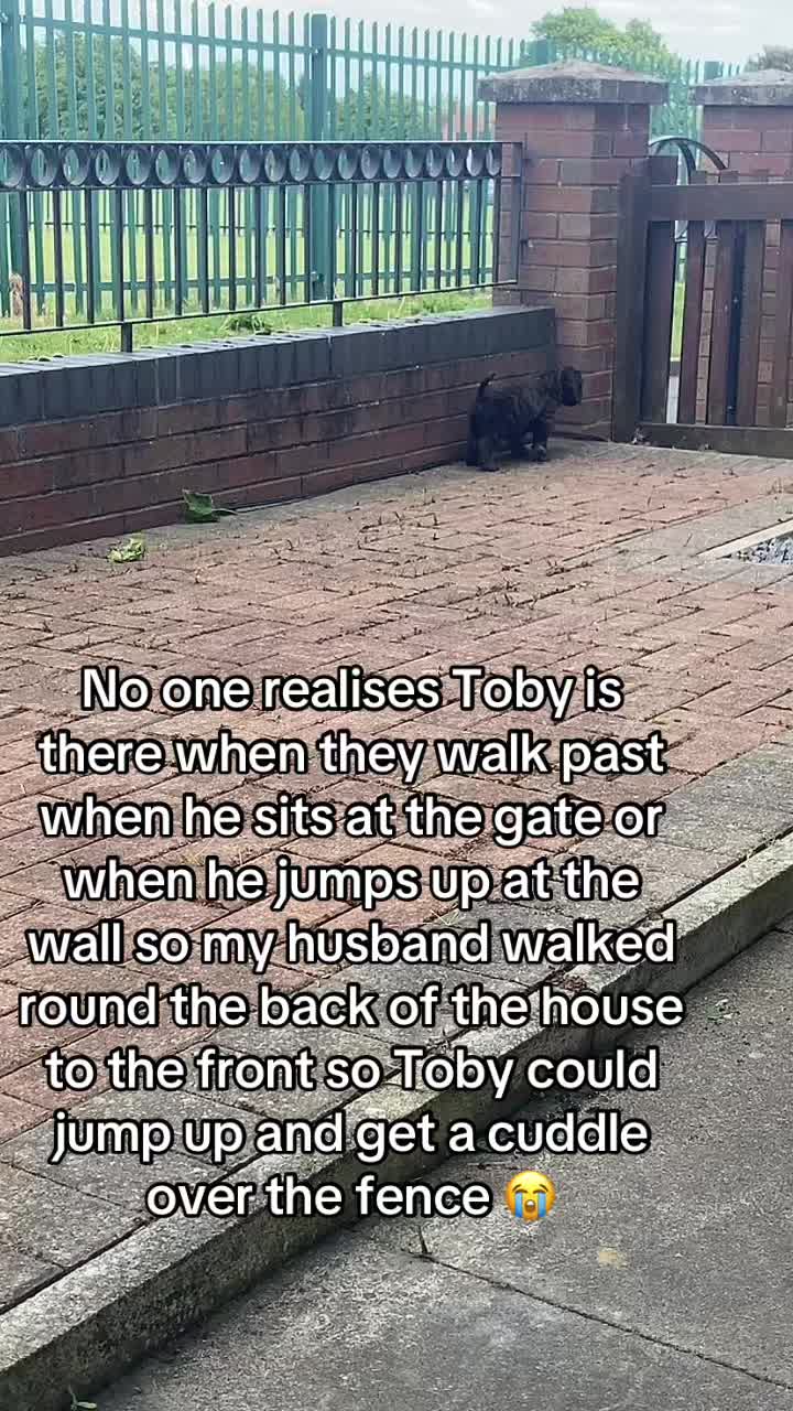 @Toby the Cockapoo & Bobbi Lou