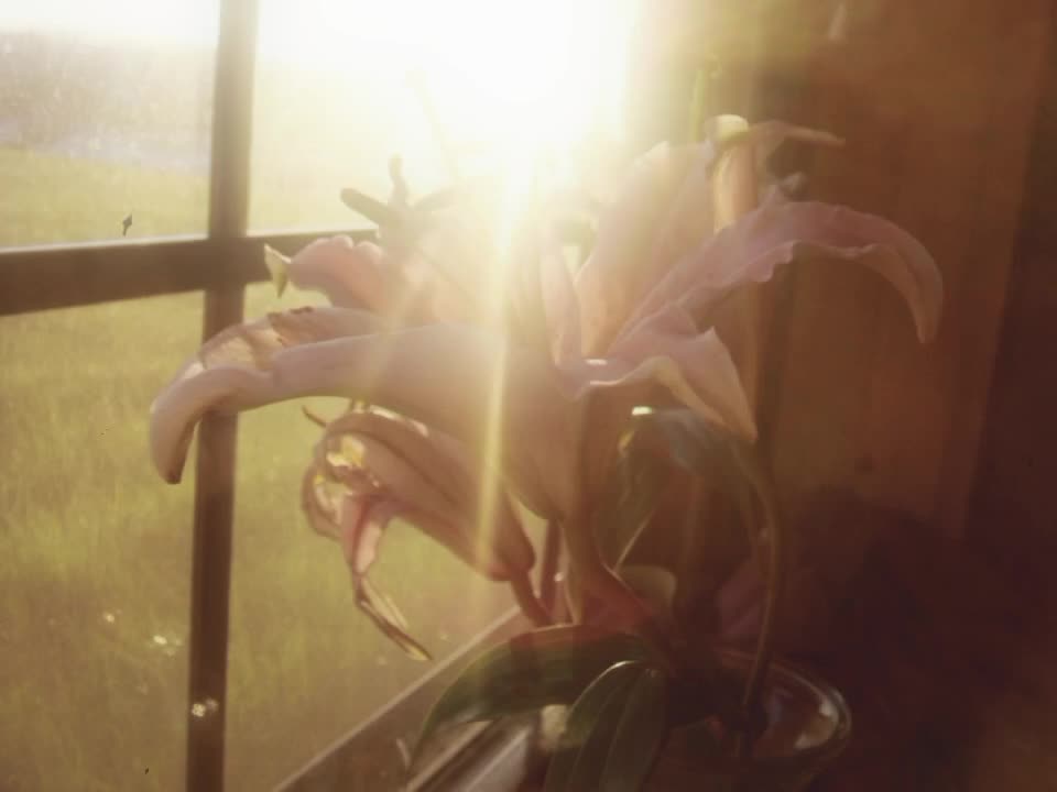 @♪𝘴𝘴𝘩𝘩𝘰𝘰𝘳𝘳𝘵𝘵𝘺𝘺♪