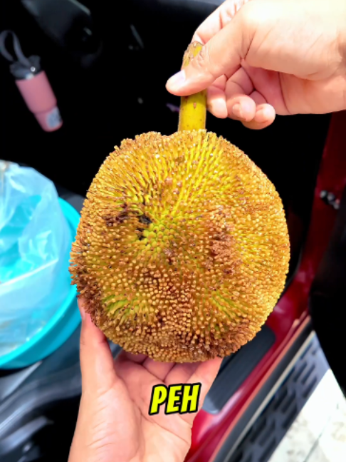 @KilatKilau