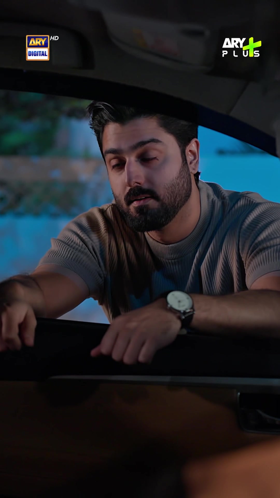 @ARY DIGITAL