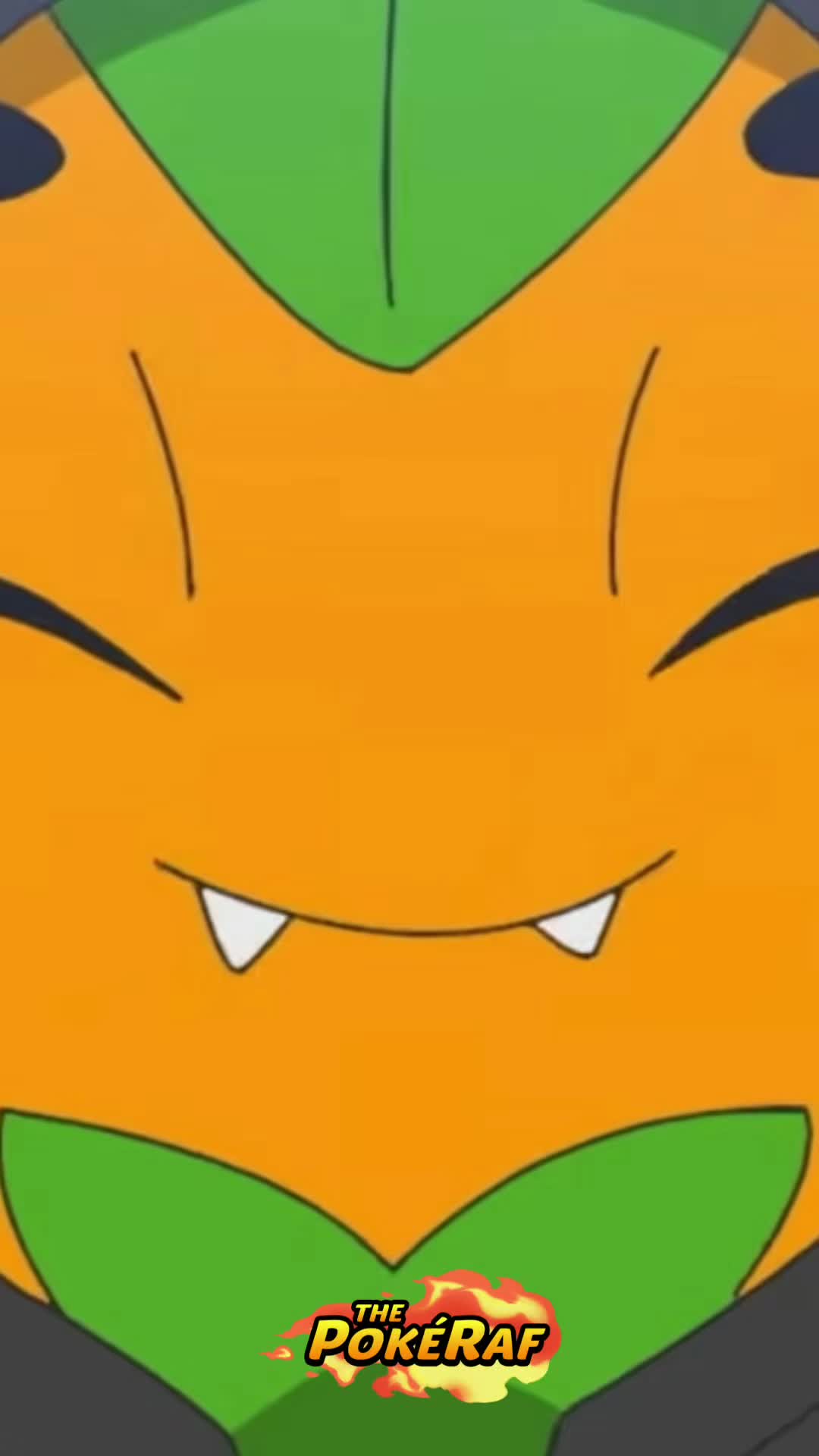 @ThePokéRaf